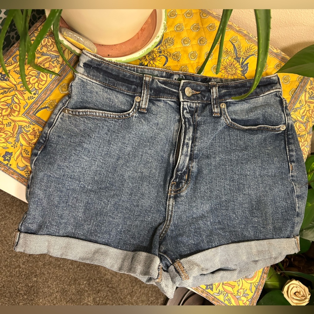 Wild Fable Denim Shorts